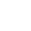 bottom_20_ico3